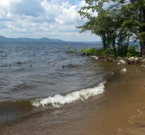 La Maison d'Hôtes - EN FACE DE SAND ISLAND SUR LE LAC SACANDAGA - Image 3