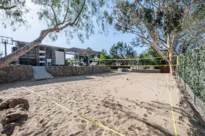 Luxury Hilltop Retreat: GameRoom/Volleyball/Putting Green/BasketBall Court&More! - Image 3