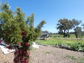 Yidaki - Self Catering Dome accommodation with private deck, BBQ and lawn - Image 5