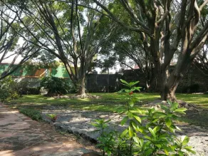 La Palma,  Crucero Tezoyuca (Entire bungalow) - Image 5