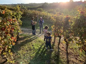 Relais \"Podere le Gaggie\" apt \"Il Fienile Alba Asti Nizza - Image 2