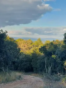 Bain de Nature - Châlet Provençal au Milieu de la Forêt - Image 5