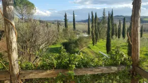 Agriturismo La Ca'Solare - Image 5