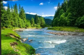 Discover Lakes, Rivers, Tahoe National Forest - Image 3