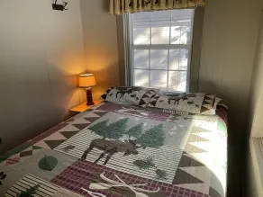 Peaceful Pines Cottage 5 minutes from Old Forge - Lake Access to Lake Tekini - Image 4