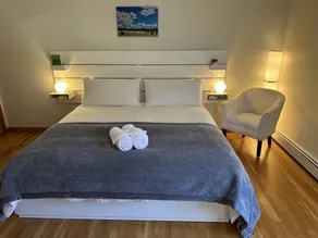 Boston Single Family House - Super Quiet and Private - Image 3