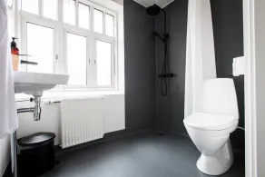 Diagonalkroen - Image 3