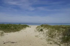 Moderno, renovado Aluguer de Verão em East Hampton-minutos da praia - Image 5