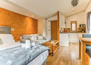 Large modern studio lodge with one double. - Image 2