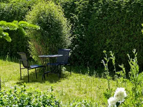 Apartment on the Peenewiesen - Appartamento - Image 5