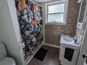 Funky, Fido-friendly flat near downtown Ishpeming. - Image 4