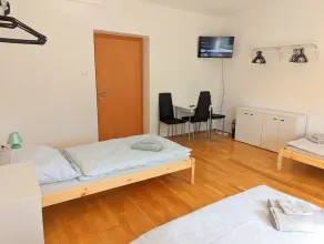 Bright and comfortable unit across from Messe Wels - Image 5