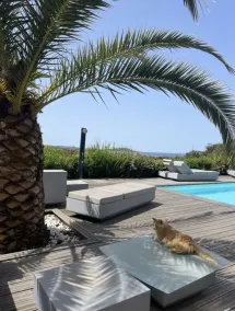 Chambre Dhôte Avec vue mer et Piscine - Image 2