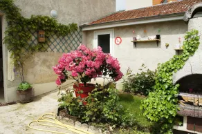 Le logis du vendangeur accogliente pensione 4 **** nella zona di Champagne in Francia - Image 5