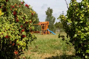 Windmill vacation home in Ledzin near Baltic Sea - Image 2
