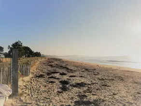 Bel appartement -Carnac Plage - Grande plage à  100m - Thalasso à 20m - Image 3