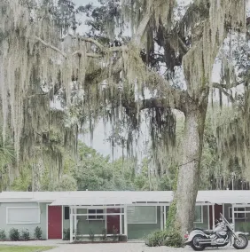 Shell Harbour Room 6 - Waterfront Stay on the St. Johns River - Image 4