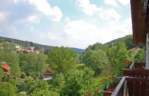 Double Room with Balcony 2 - Gasthaus Zum Pälterwald - Image 3