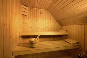 Villa in De Banjaard with Sauna - Image 2