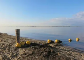 Bungalow in South Holland with Private Jetty - Image 3