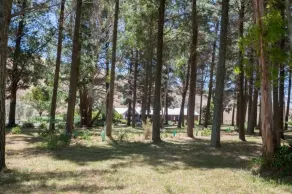 Savana Estate - Image 5
