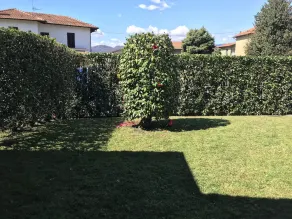 appartement  avec jardin privé et porche à 10 minutes à pied de la plage. - Image 4