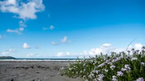 Luxurious 5 bedroomed home with sea view close to beach - Image 3