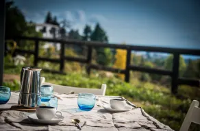 Organic farm a few kilometers from the center of Turin - Image 5