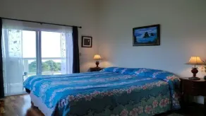 Hamakua Coast Home-havudsigt, privat, ren, venligt - Image 4