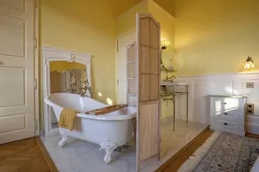 Luxury Property in the South of France - Total Privacy Guaranteed - Image 3