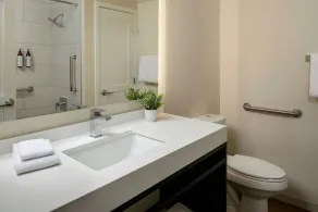 Marriott's StreamSide - Douglas 2BR Apartment with Resort Access - Image 3