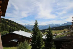 100m from ski slopes, 1st floor, view ski slopes/mountain, balcony, tv, ski locker, 31m² - Image 5