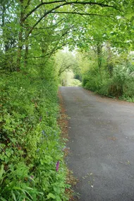 Wildlife haven with river - Image 4