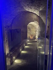 The Etruscan Nest - Image 5