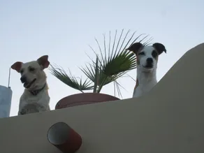 A uma Curta Caminhada Para a Praia! - Image 2