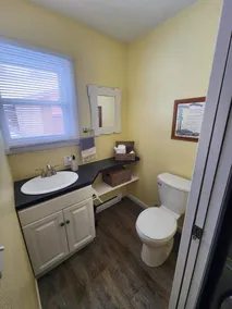 NEW Sunset Cottage - Lake Lida - Image 5