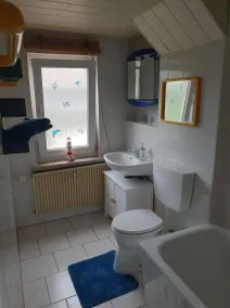 Harzfire apartment with fireplace - Image 3