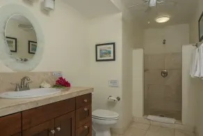 Blue Agave Villa- Dazzling Sunsets, Amazing Views, Pool, Generator A/C in Br's - Image 4