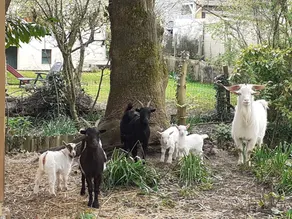Charming Countryside Retreat Near Le Mans – Sleeps 2, Cozy with Modern Amenities - Image 2