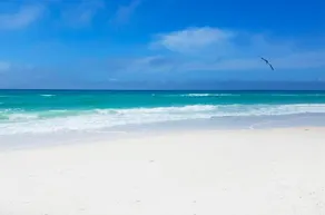 Long Beach 1-1103 - Image 5