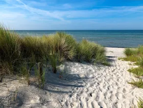 App. Westwind - Bright one-room apartment right on the beach - Image 4