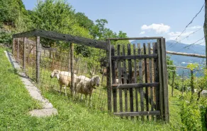 Cozy home in Telve di Sopra - Image 2