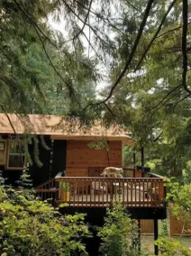 Iman Treetop Loft - Image 2