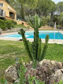 La Joséline  - Image 4