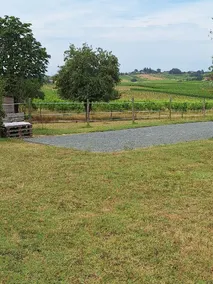 STILLE GITE I MELLEMVINENE - Image 2