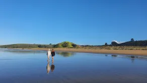 Romantisk og afsondret Glamping ved havnefronten, Nr Kerikeri, Bay of Islands - Image 2