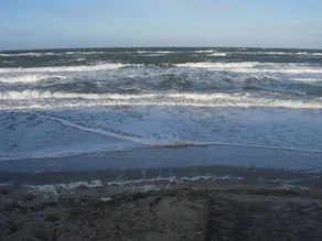 Cozy holiday home close to the Baltic Sea at the nature reserve for up to 4 people - Image 3