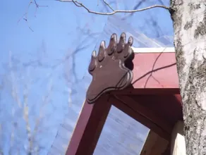 Summertime and the living is easy at the bearclaw - Image 5