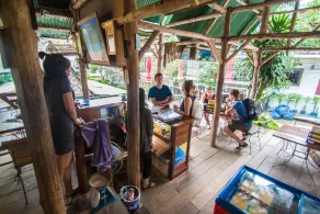 Tropical Garden Bungalow - Image 4