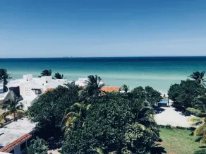 AMA Yucatan Apartments - Image 4